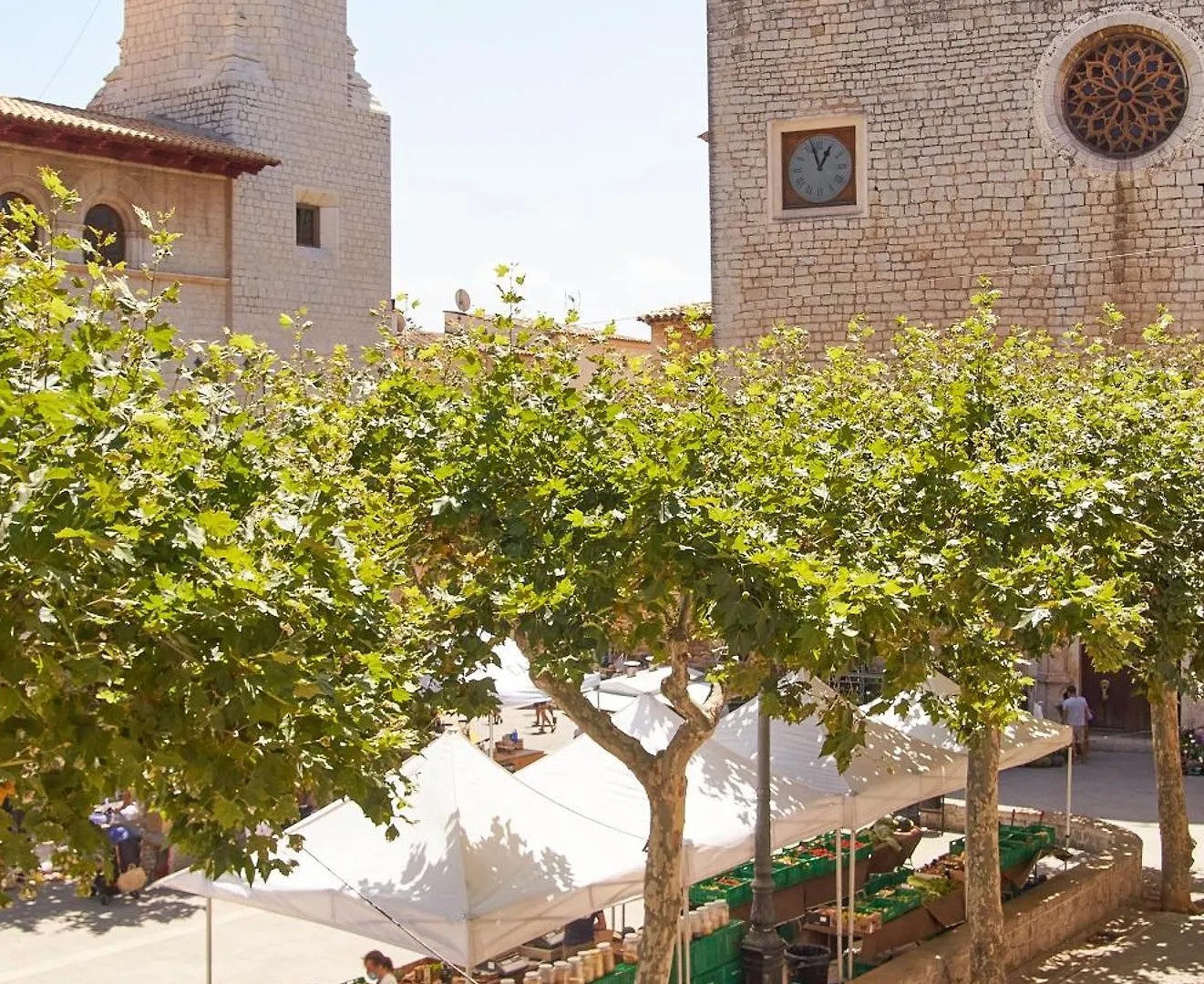 Guest house Vila Alaro Ti